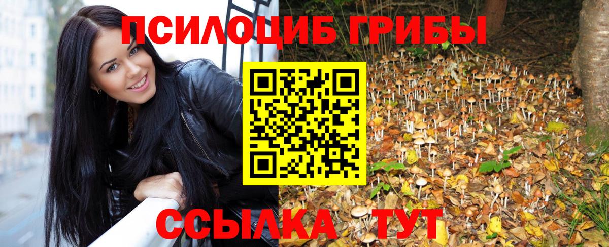 Галлюциногенные грибы Cubensis Еманжелинск